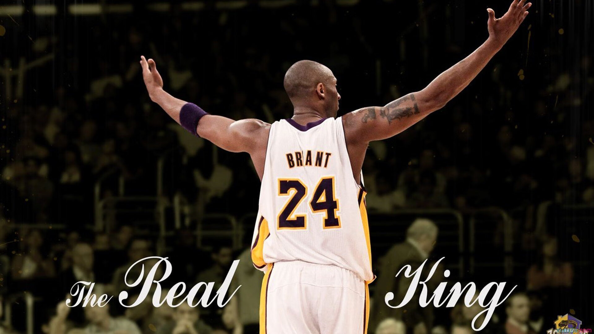 锁链与风暴，爱德华兹的防守艺术与浙江队的团队胜利